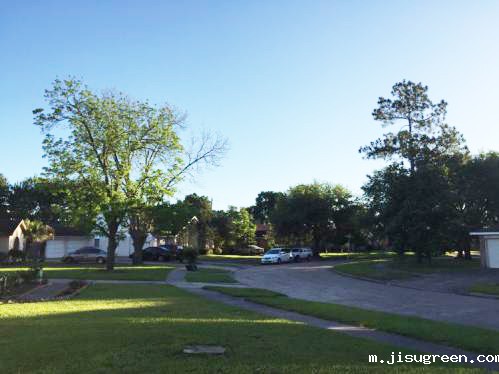 2OTC石油天燃气密封件美国休斯敦异国风景