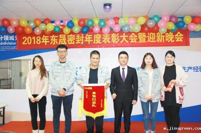 年度最佳6S奖 年度最佳6S奖