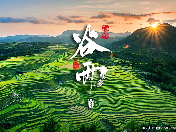 谷雨：春天的结束，生机的开始