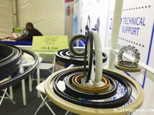 21点点taptap手机官网密封系列之一：泵阀用泛塞封！