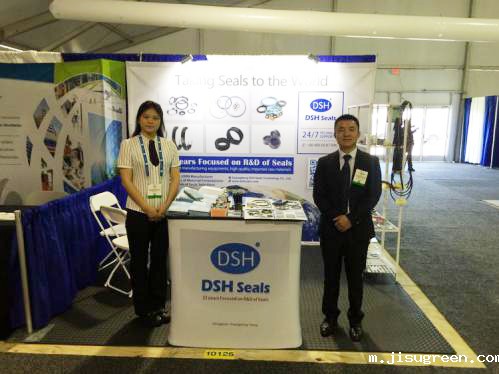 8OTC石油天燃气密封件点点taptap手机官网展会