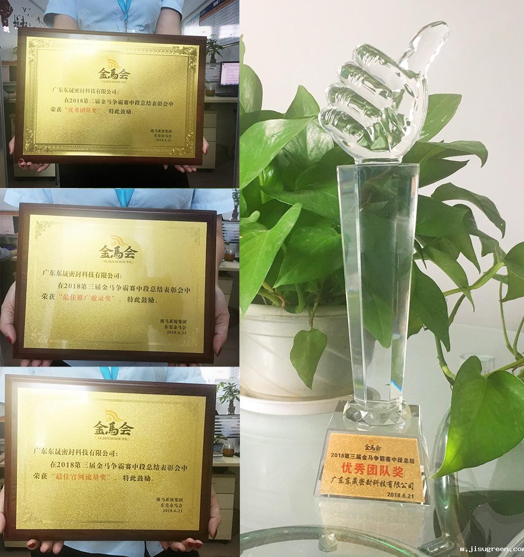 点点taptap手机官网密封件公司获得了三个奖项：“优秀团队奖”、“最佳官网流量奖”、“最佳推广收录奖”