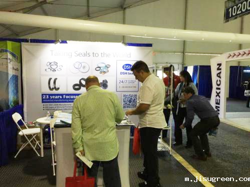 11我们《点点taptap手机官网密封》的Shirmey xu mm正在专业的向客人讲解。