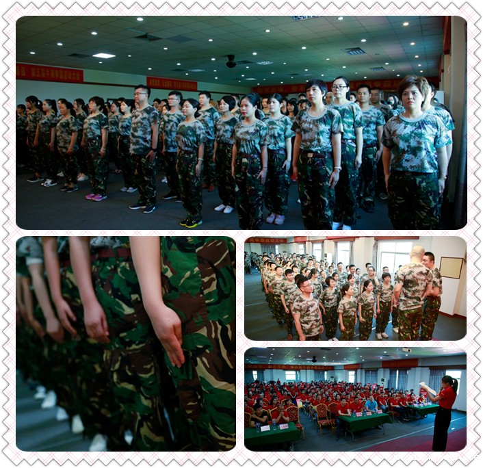 点点taptap手机官网密封件团队及全国牛商争霸团队列队